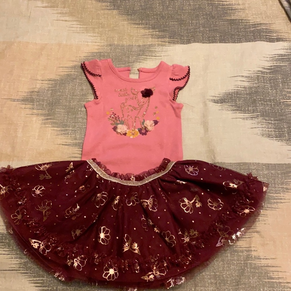 NWOT  Baby Girl skirt and  shirt set